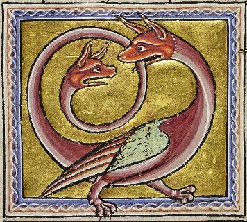 Two headed snake