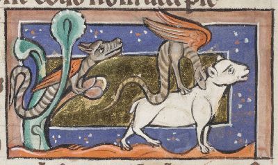 Jaculus in a tree, jaculus attacking a beast