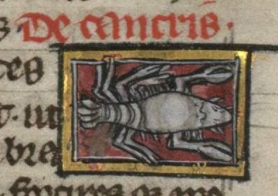 Crab with claws
