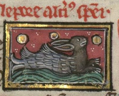 Sea-hare, part hare, part fish