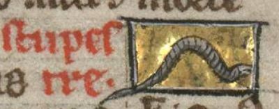 Buprestis as a worm
