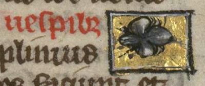 Wasp flying