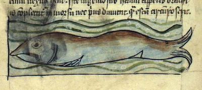 Long fish